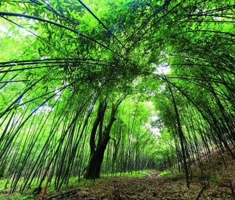 【星空体育APP网站】
为游戏人物「捏脸」还能拿 70 万奖金?EA 给《模拟人生》做了一档真人秀(图4) 星空体育APP网站