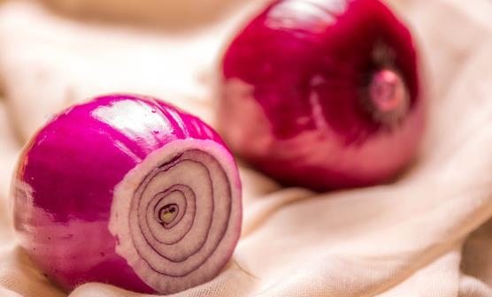 申花后防线再损一员核心悍将,u23新星将上位锁定主力_星空体育APP(图1) 星空体育app下载