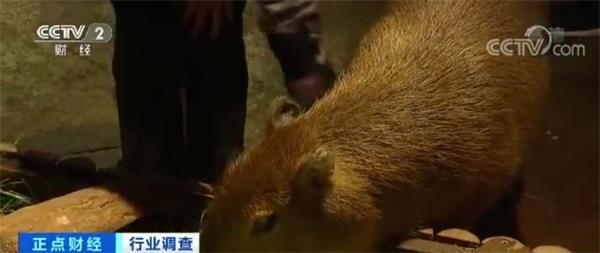 英雄联盟全球总决赛七年经典回顾_星空体育APP网站(图1) 星空体育APP网站