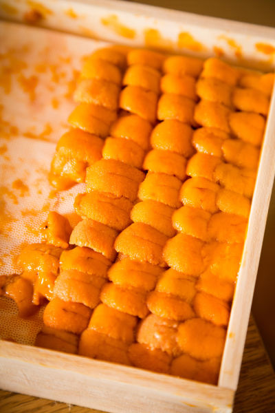 苍南消防走进彩虹课堂 为留守儿童送知识_星空体育APP(图3) 星空体育APP网站