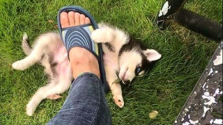 星空体育APP网站