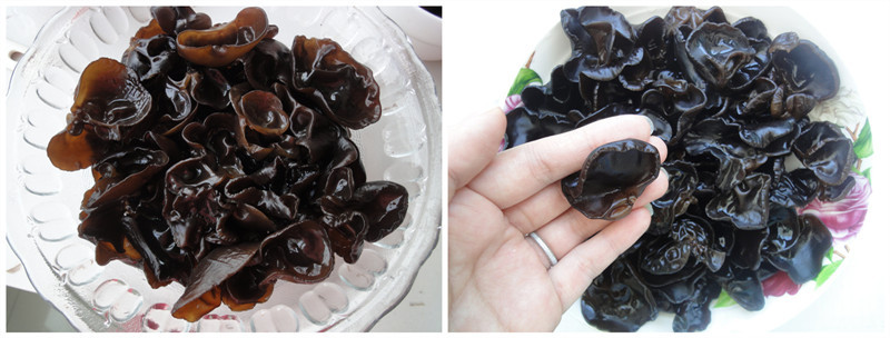 星空体育app下载