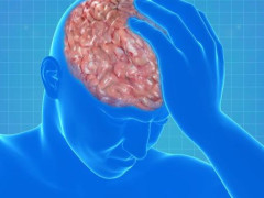 星空体育app下载