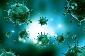 星空体育app下载