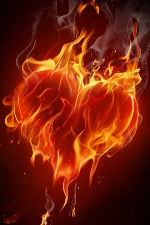 星空体育APP网站