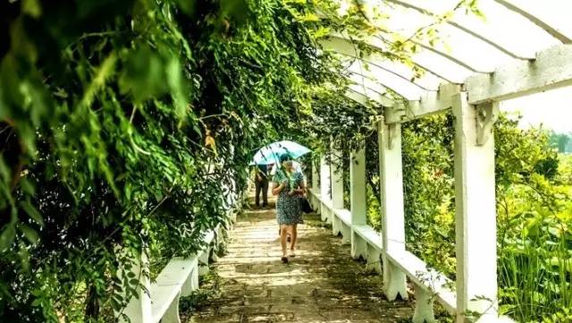 峡谷最难的英雄诞生,世界冠军苦练一小时后直接放弃,太真实了!【星空体育app下载】(图2) 星空体育app下载