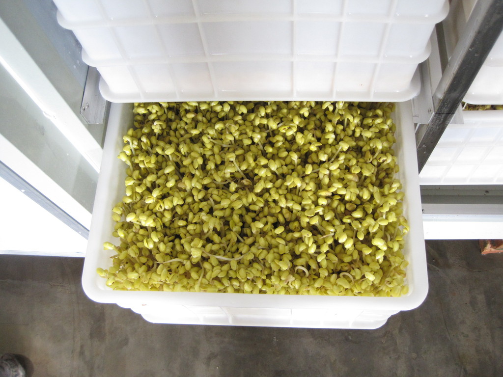 ‘星空体育APP’按照之前2020年中超赛程安排的话,今天是时隔2...(图2) 星空体育app下载