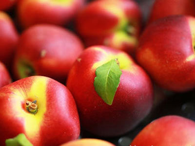 《英雄联盟》“云顶之弈”表演赛 LCS赛区选手上演精彩对决|星空体育app下载(图1) 星空体育app下载