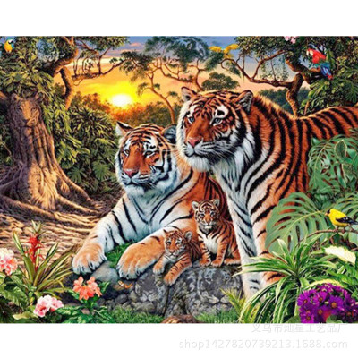 星空体育APP网站